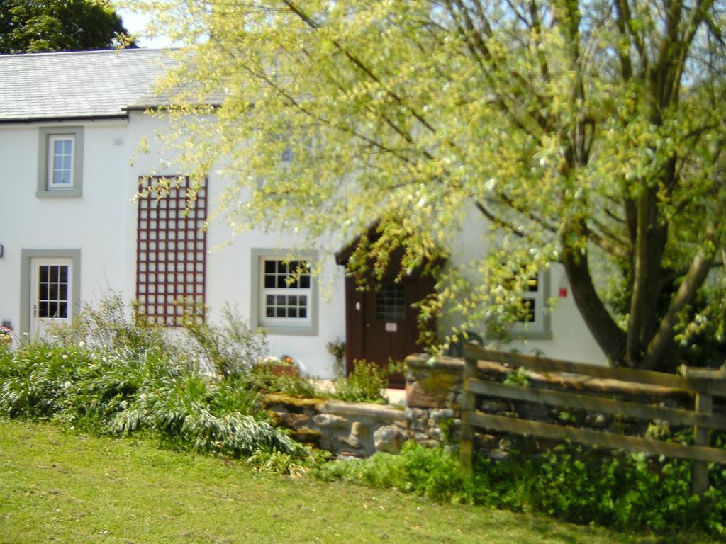 Wallace Lane Farm Westward Exterior foto
